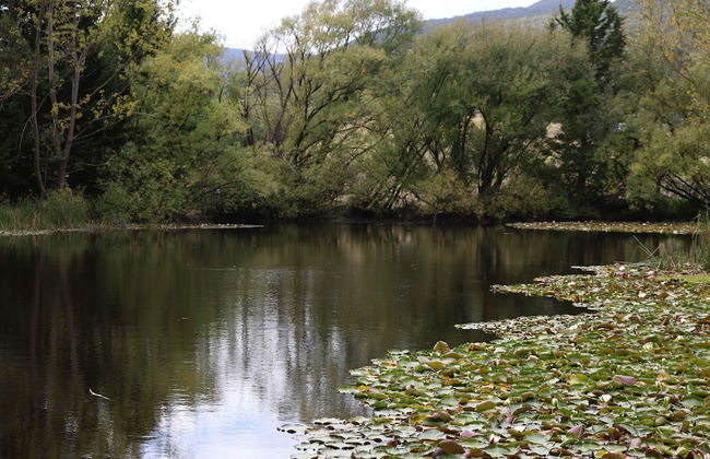 StayAU Lakeview Cottage 2BR Cozy Nature - Foto 29