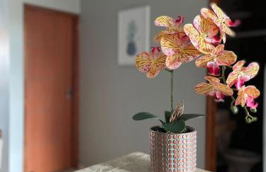 DUNAS RESIDENCE CASA 13 OU CASA 16 Santo Amaro - Lençóis Maranhenses - Foto 22