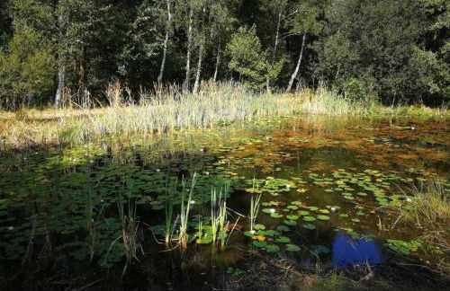 Holiday Home Natur by Interhome - Foto 20