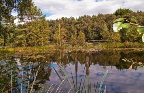 Ferienwohnung Maribell Jabel - Foto 16