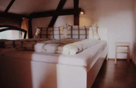 Ferienhof Bahlens-Schur - Foto 11