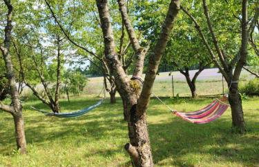 Siedlisko Jelonki - Foto 37