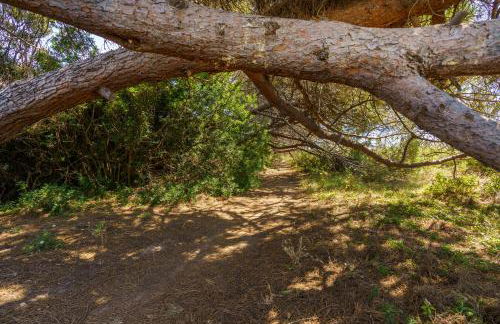 La Caletta Corsa Apartments - 2 Camere con Terrazza Privata, Aria Condizionata, 100m dal Mare - Foto 8