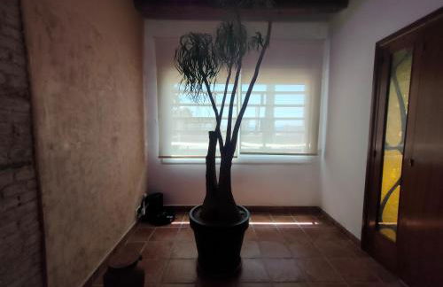 La Bellamar - Apartamento en primera línea mar- - Foto 22