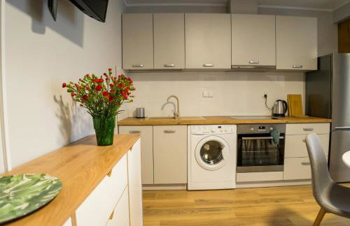 APARTAMENTY CENTRUM - Foto 8