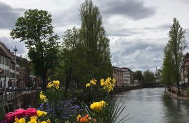 Haus Anneliese - Foto 30