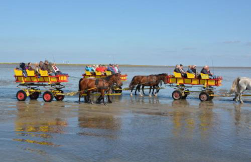Duhnentraum Bestlage ,Meerblick Balkon, Parkplatz, Aufzug, Wlan, Bettwäsche,Handtücher,Netflix uvm - Foto 28