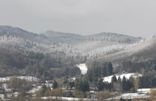 Apartments in Biedenkopf - Foto 37