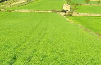 Alojamientos rurales Angelita - Foto 29