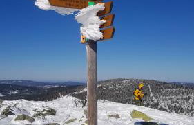 Ferienbungalow Sonnenwald Bayerischer Wald - Foto 30