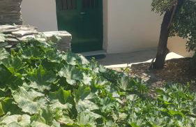 ΑΝΕΜΟΔΡΟΥΛΗΣ - Foto 13