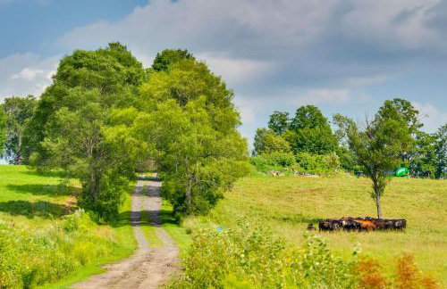 On-Site VAST Hiking Trail Hardwick Farmhouse! - Foto 36