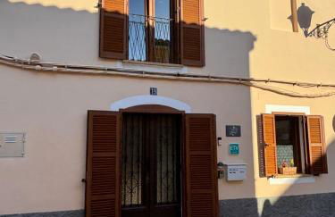 Sweet William - Foto 1