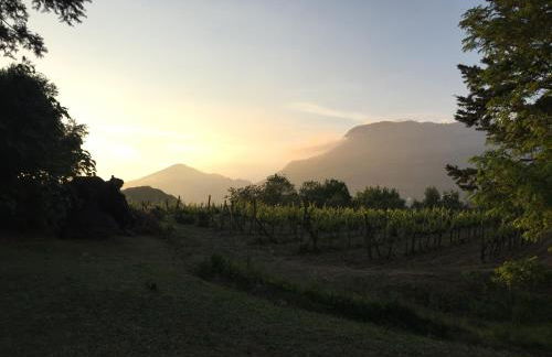 Agriturismo La Vecchia Quercia - Foto 90