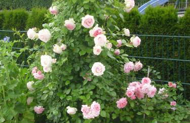 Ferienwohnung Maria Waldblick 95 qm, - Foto 36