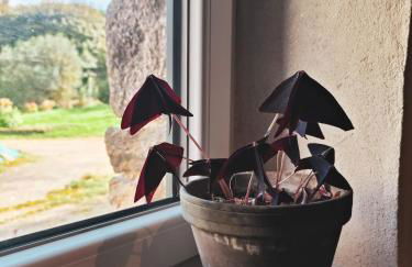 Calme et confort, charmante longère bretonne - Foto 23