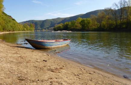 Gästehaus Rheinromantik - Photo 40