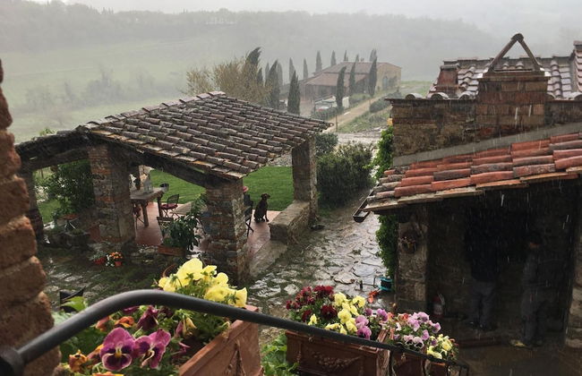 Podere Terreno alla Via della Volpaia - Foto 60