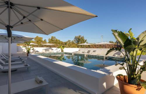 Estudios Salinas - Fuseta - Foto 21