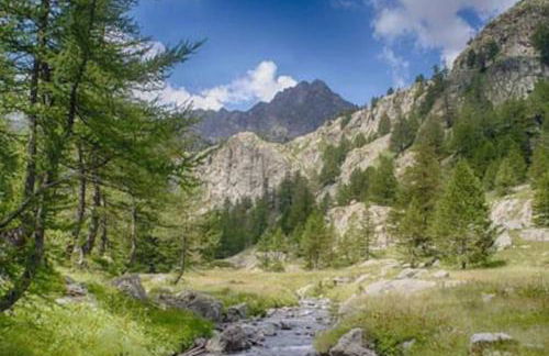 Studio 5 minutes Cannes et plages, terrasse, piscine - Foto 38
