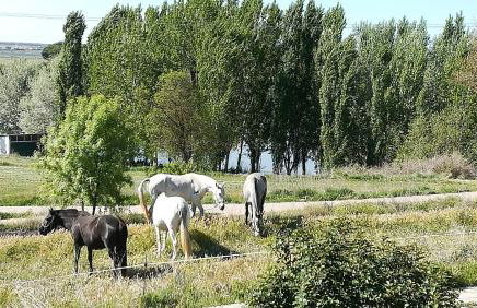 La casa del Duero - Photo 43