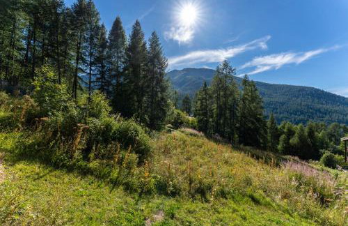 Chalet les arolles - Foto 56