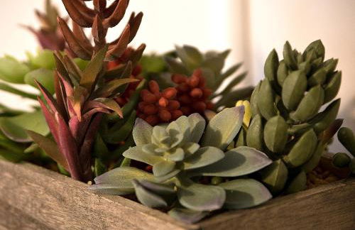 *The Governor's Mansion* Close to Downtown - Photo 25