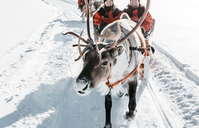 Reindeer Sleigh Ride - Foto 3