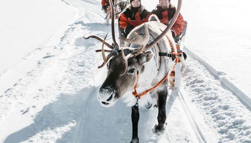 Passeio de trenó de renas