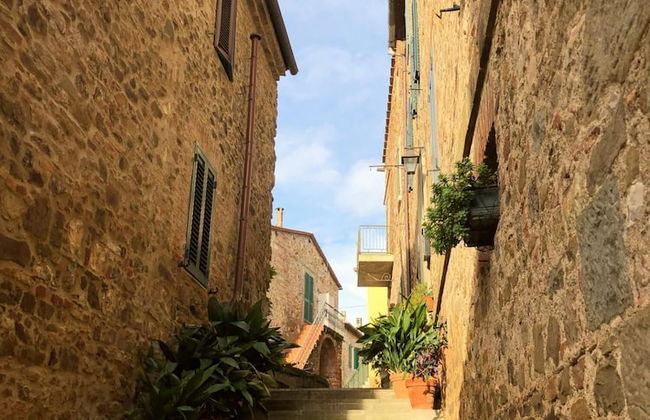 Villa Ambretta in Campagnatico - Foto 3