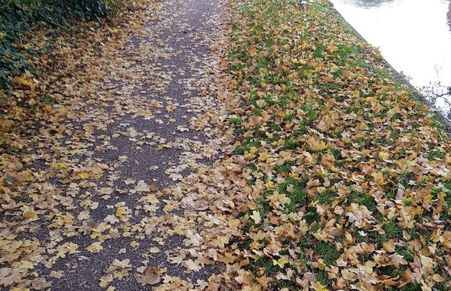 Chatterley House - Foto 46