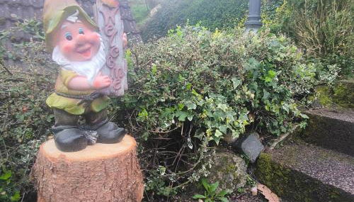 Ferienhaus The Himmelsteig - Foto 2, Garden