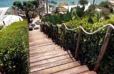 L'uliveto sui Trabocchi - Foto 30