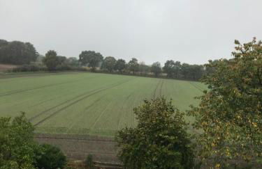 Ferienwohnung Nesthäkchen - Photo 14