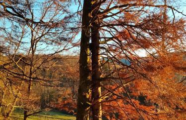 Gite le grenier du roc - Foto 18