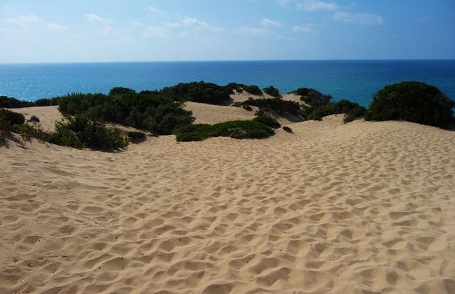 Agriturismo Sa Tanca - Photo 44