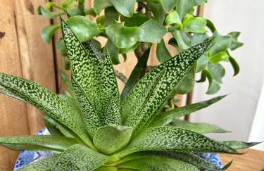 Cadwgan House - Foto 48