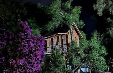 Casa na Árvore - Foto 31