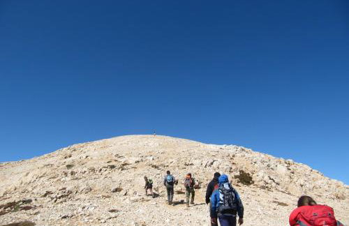 Studios Fokies - Photo 27