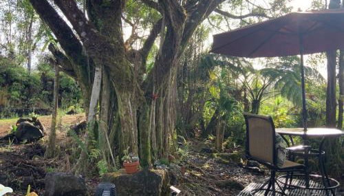 Majestic Banya tree cabin - Foto 3, Garden