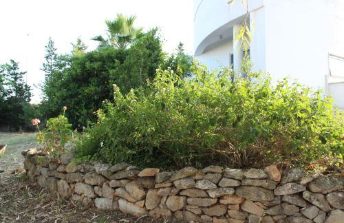 Boat dreams , garden relax - Foto 19