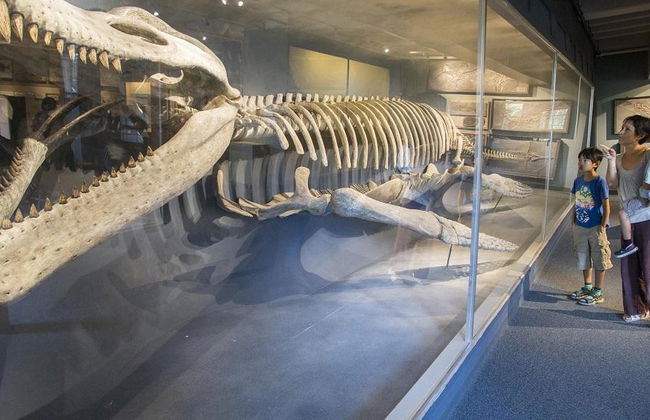 Boston CityPASS® - Acceso a 4 atracciones - Foto 1