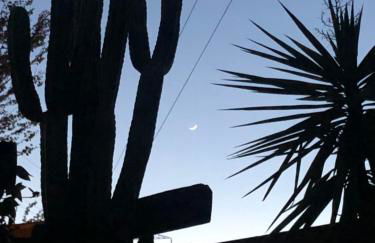 La Casita del Cactus - Casa de campo con piscina - Photo 19