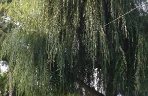 Agriturismo Il Regio Tratturo - Foto 43