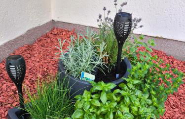 FeWo Renken - Foto 39