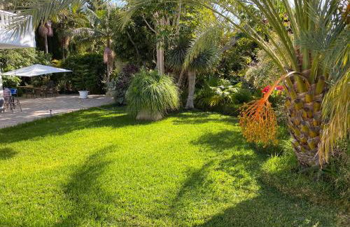 Tijarafe 1 - Foto 26