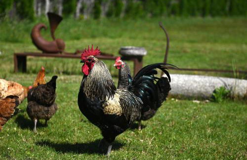 Le Galinié Chic'Art. Un bel Atelier avec Piscine - Foto 34