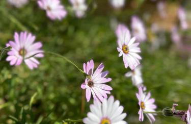 The Granary - Wood Farm Barn. Luxury Barn with wonderful countryside views - Foto 45