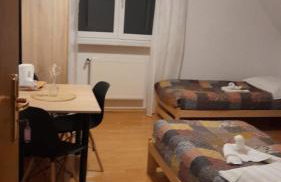 Agro-szyszynka - Foto 9