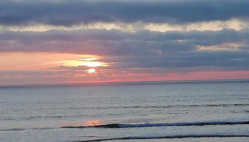 Grillohouse - Foto 4